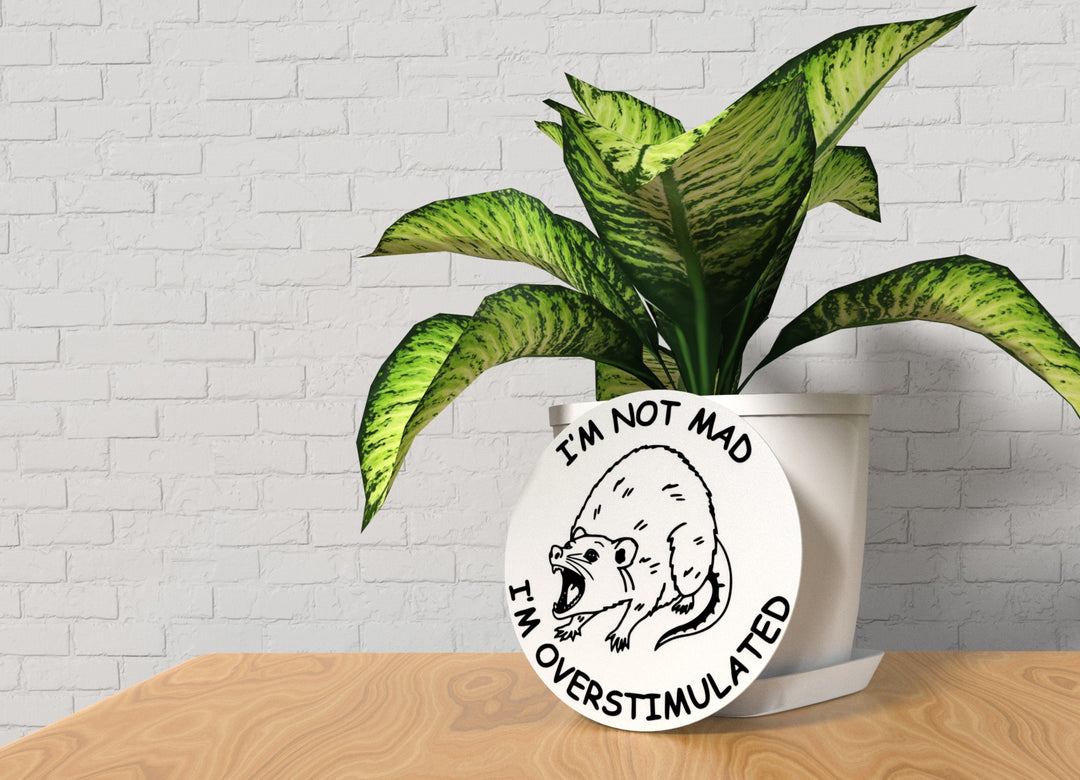 I'm Not Mad I'm Overstimulated | Funny sign For Home or Office