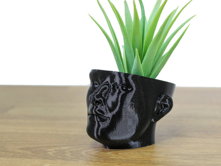 The "POT HEAD" Succulent Planter Vase | Plant your own Hairstyle