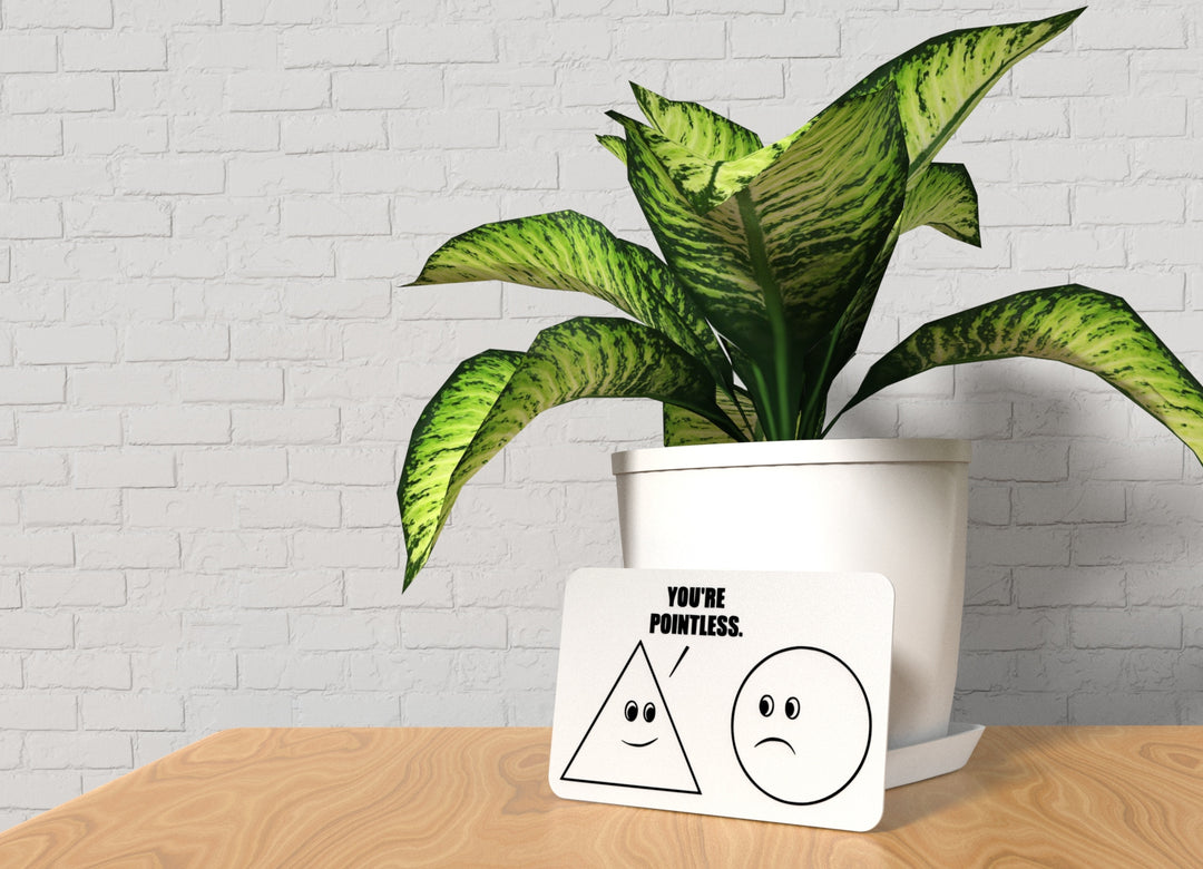 You're Pointless | Funny Sign for Home or Office