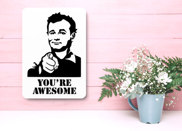 You Are Awesome | Funny sign For Home or Office