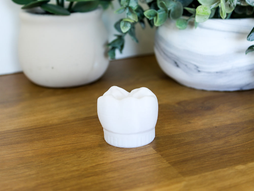 
  
  Tooth Fairy White – 3D Printed Tooth Organizer
  
