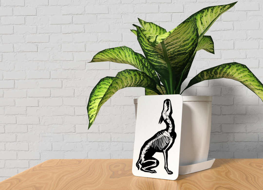 Dog Skelet | Funny sign For Home or Office