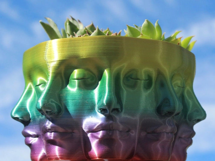 The VASE FACE | Face Planter for Succulents, Cactus, Plants