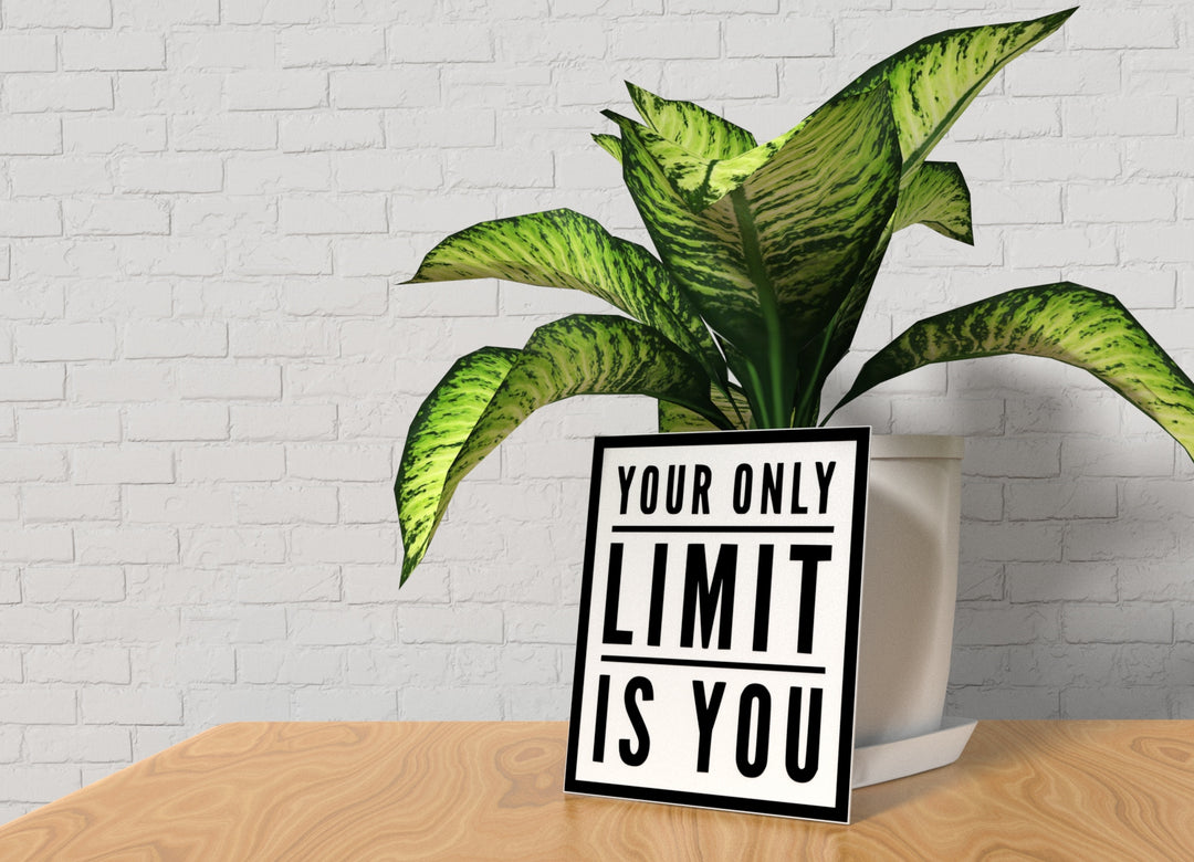 Your Only Limit Is You | Funny Sign for Home or Office
