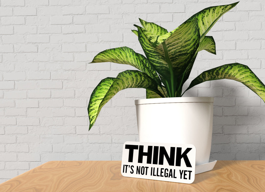 Think It's Not Illegal Yet | Funny Sign for Home or Office