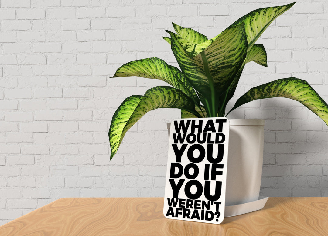 What Would You Do If You Weren't Afraid | Funny sign For Home or Office