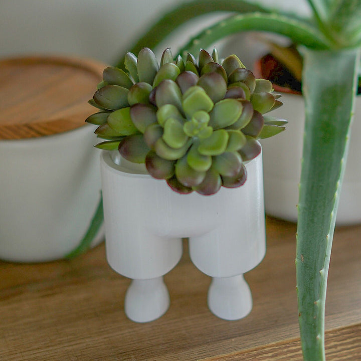 Leggi the Succulent & Cactus Planter Pot