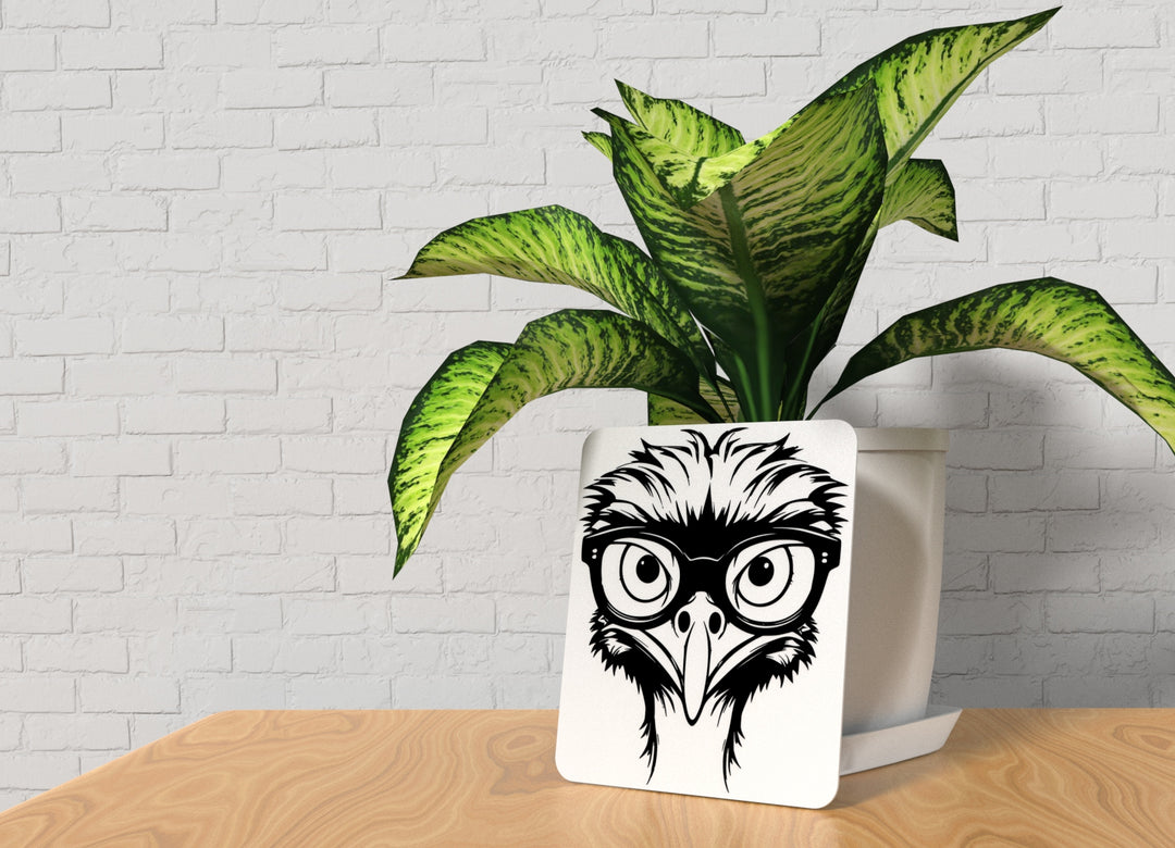 Black Bird | Funny sign For Home or Office