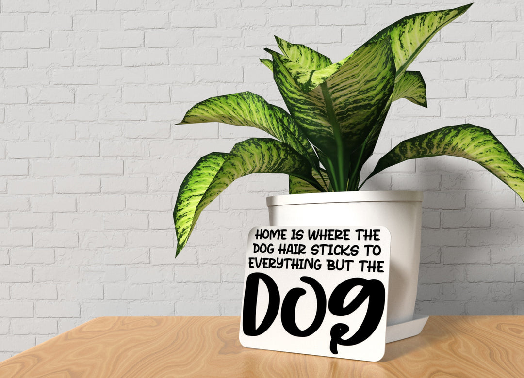 Home Is Where The Dog Hair Sticks To Everything | Funny sign For Home or Office