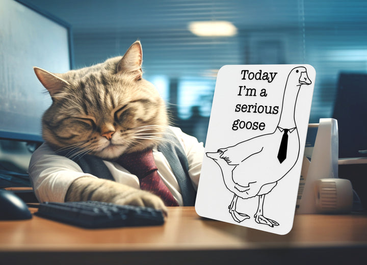 Today I'm A Serious Goose | Funny sign For Home or Office