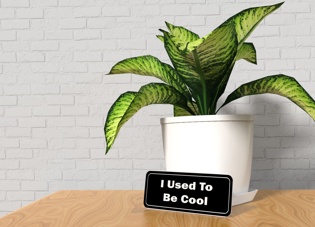 I Used To Be Cool | Funny Sign for Home or Office