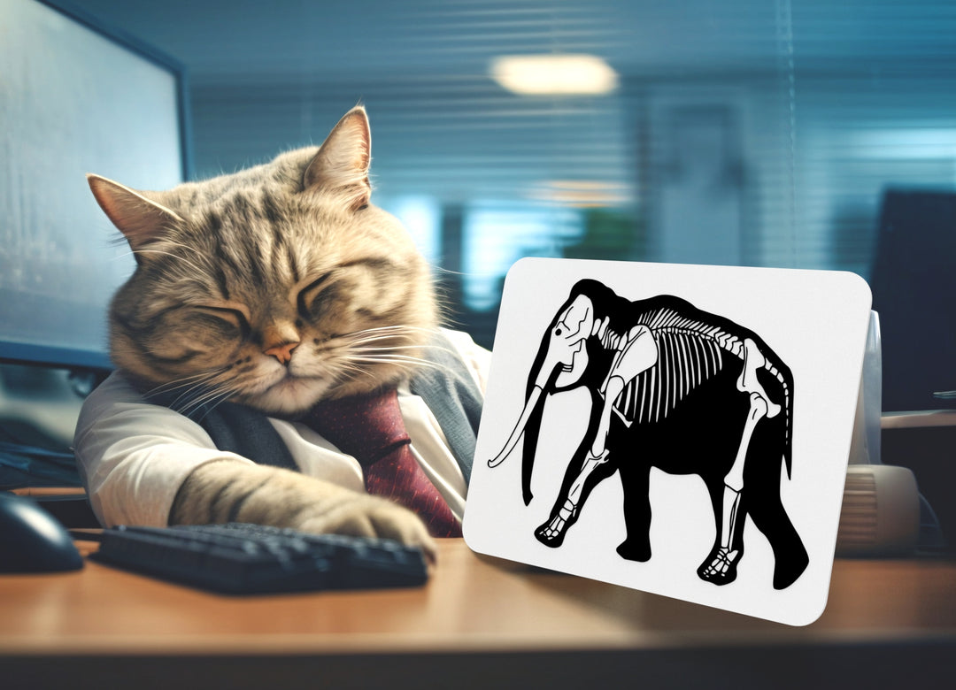 Elephant | Funny sign For Home or Office