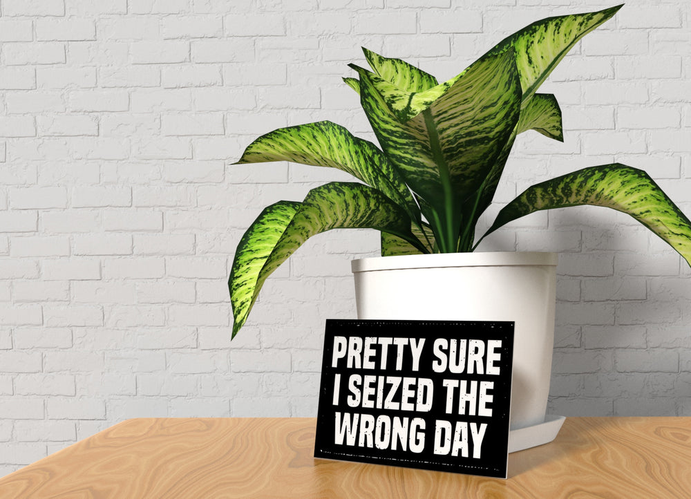
  
  I Seized the Wrong Day | Funny Sign for Home, Office, or Classroom Decor
  
