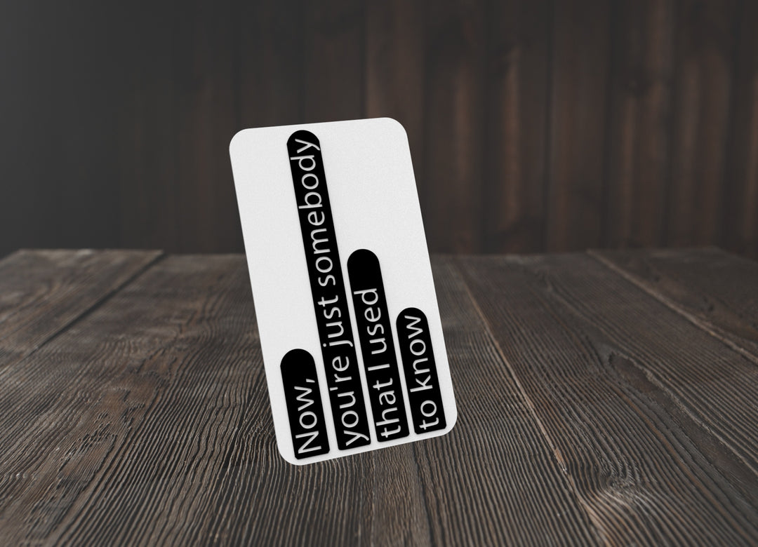 Now You're Just Somebody That I Used To Know | Funny sign For Home or Office