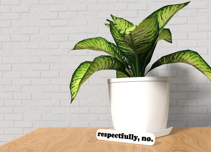 Respectfully No | Funny Sign for Home or Office