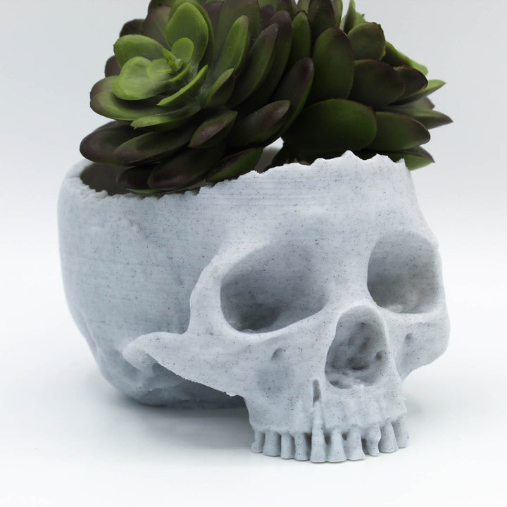Real Looking Skull Succulent Planter | Macabre Elegance for Your Greenery