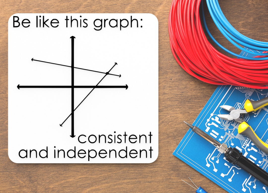 Be Like This Graph Consistent And Independent | Funny sign For Home or Office