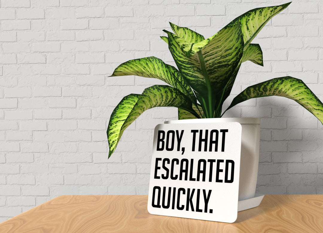 Boy That Escalated Quickly | Funny Sign for Home or Office