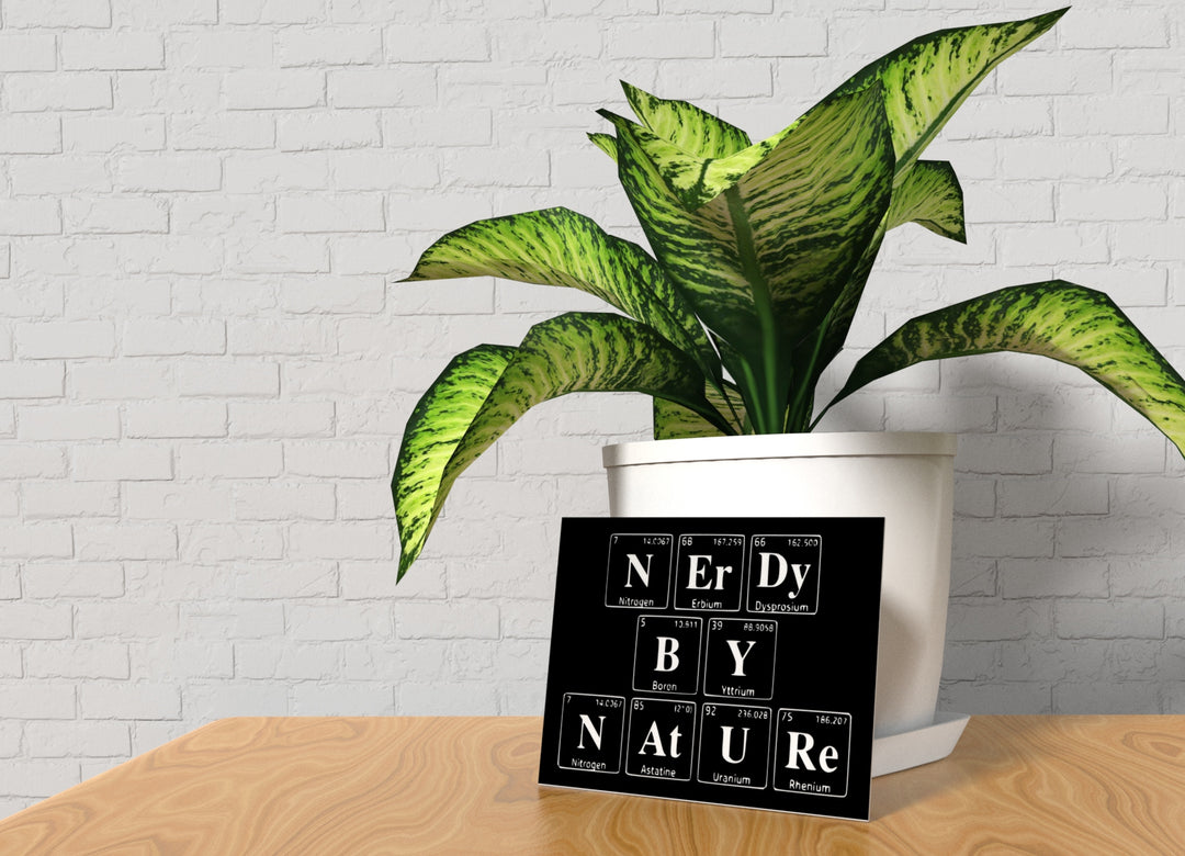 Boron Erbium | Funny sign For Home or Office
