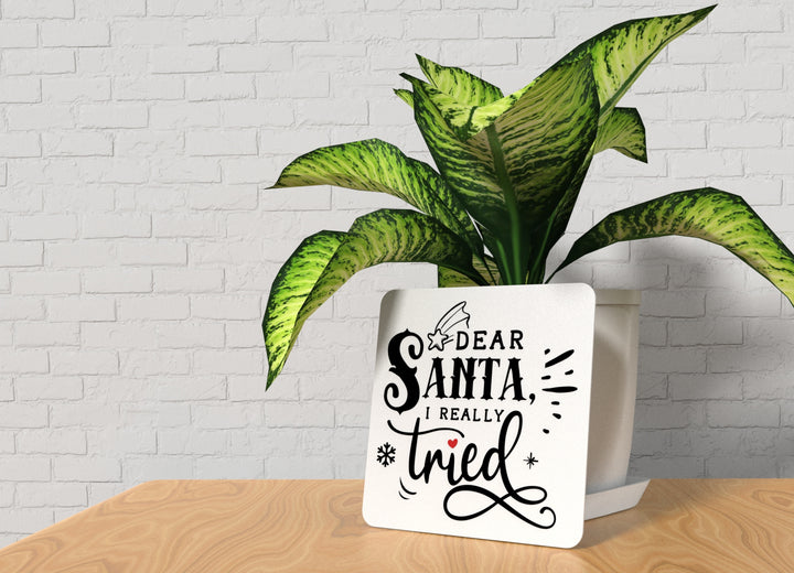 DearSanta8
