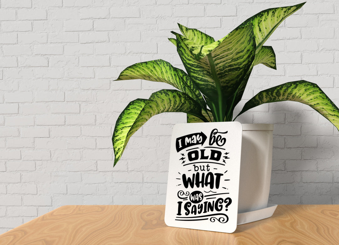 Bold 3D Printed May Be Old Sign Wall Art – Durable PLA Sign for Office, or Home