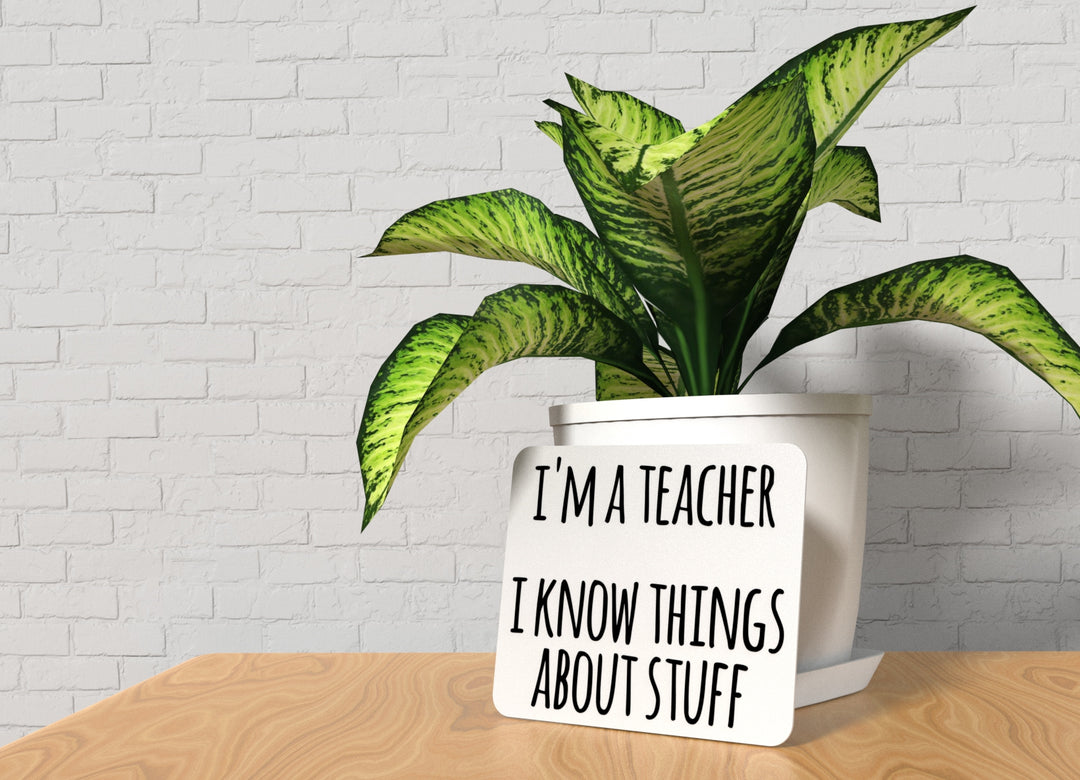 I'm A Teacher I Know Things About Stuff | Funny Sign for Home or Office