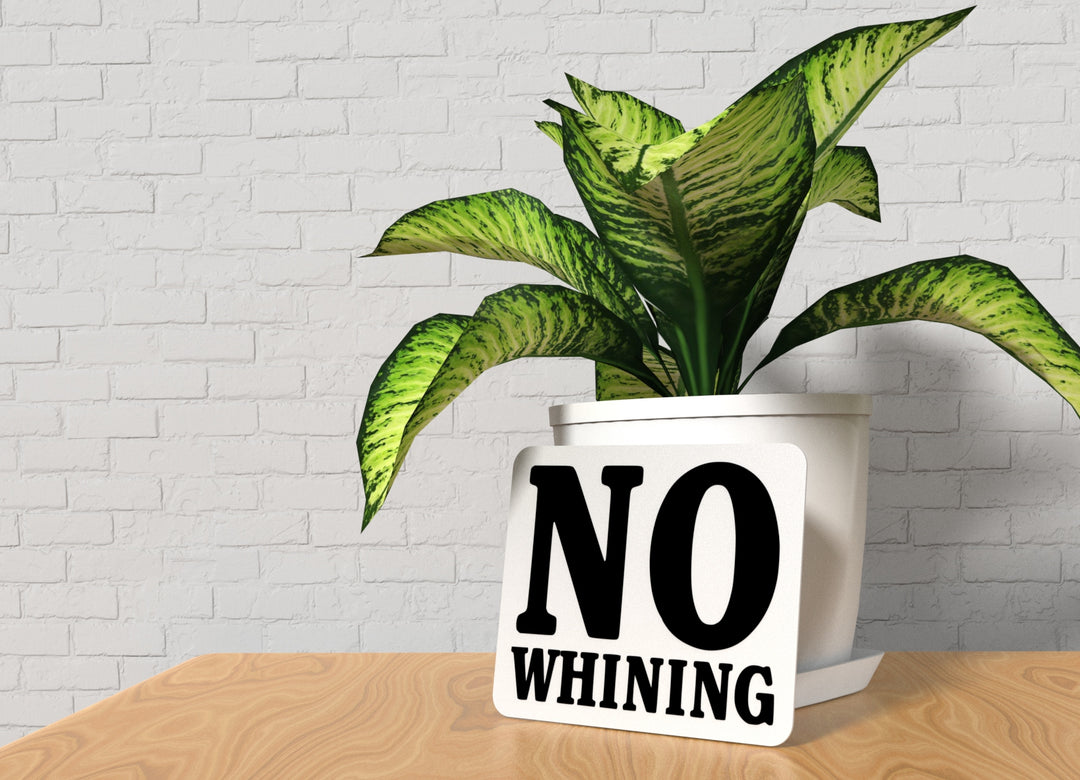 No Whining | Funny Sign for Home or Office