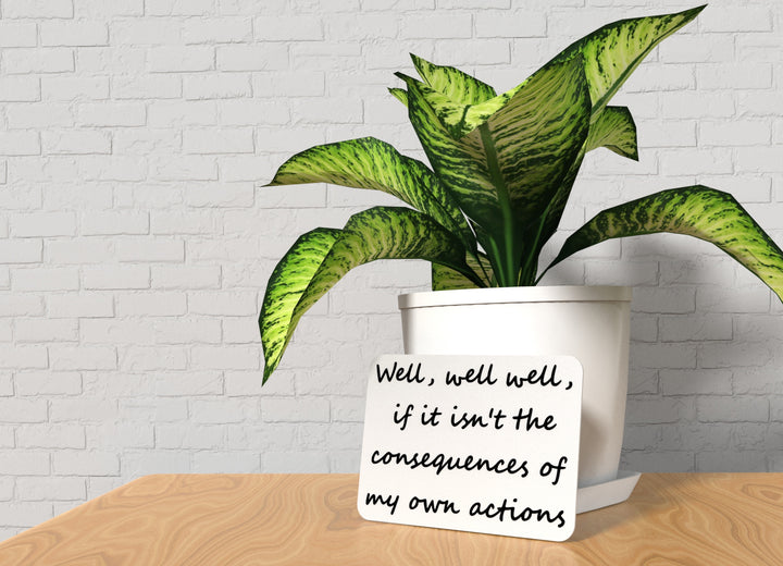 Well Well If It Isn't The Consequences Of My Own Actions | Funny Sign for Home
