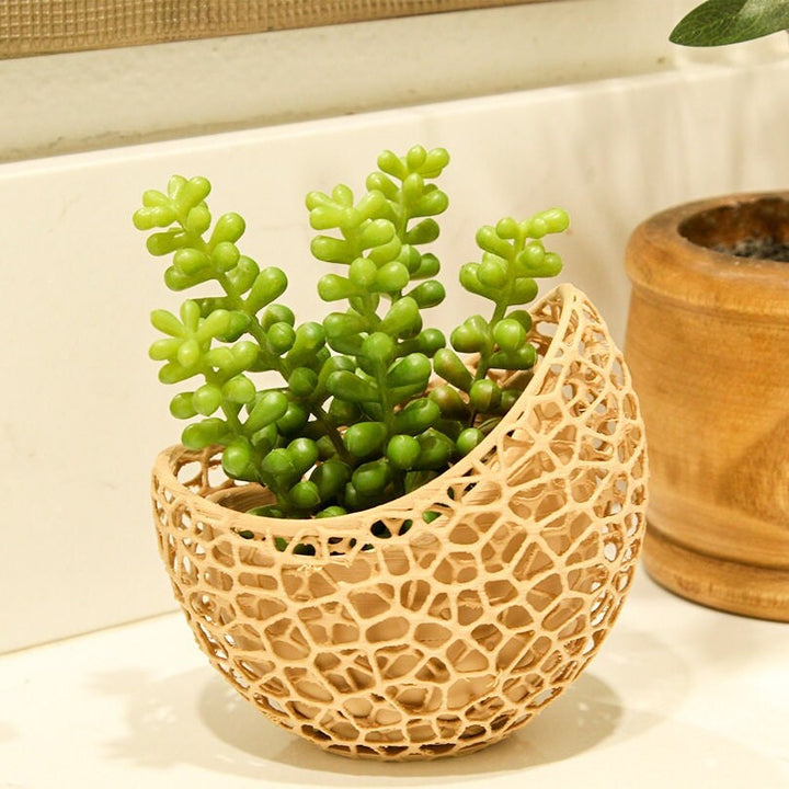 Voronoi Artistic Succulent Planter Vase