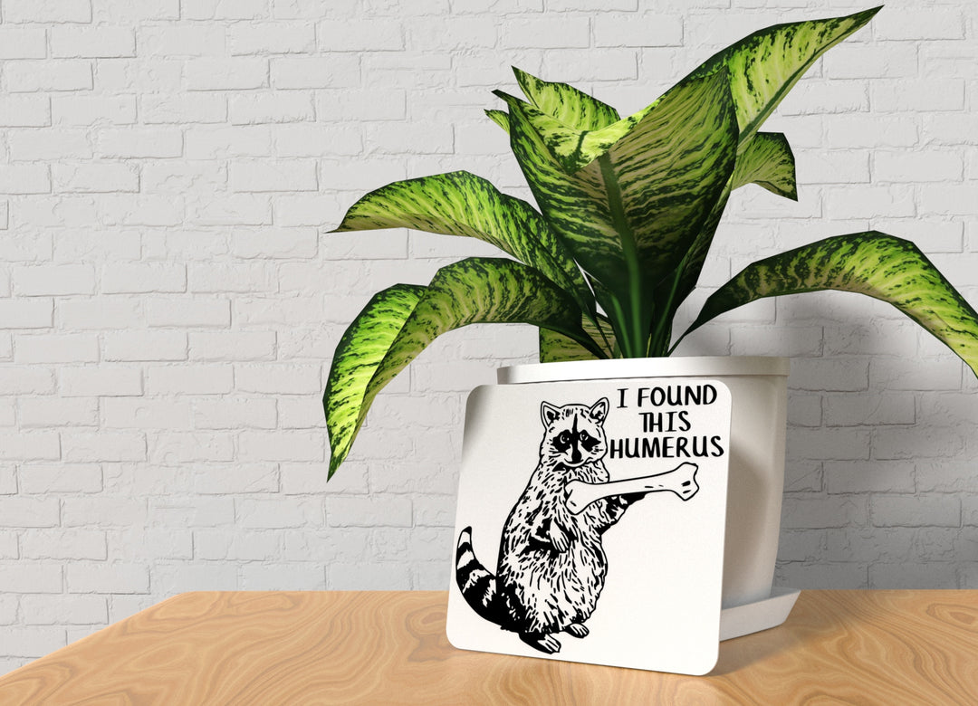 I Found This Humerus | Funny sign For Home or Office