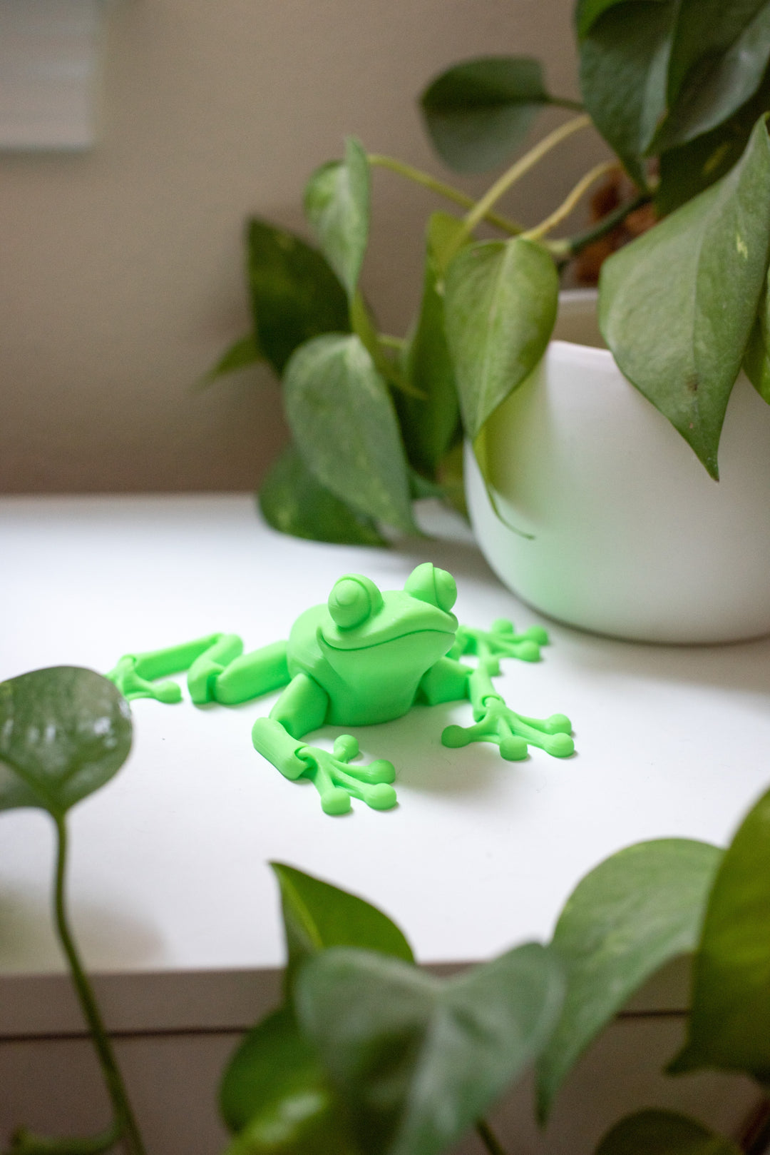 Fidget Articulating Frog Prince, Princess or Normal | Best friendly Companion