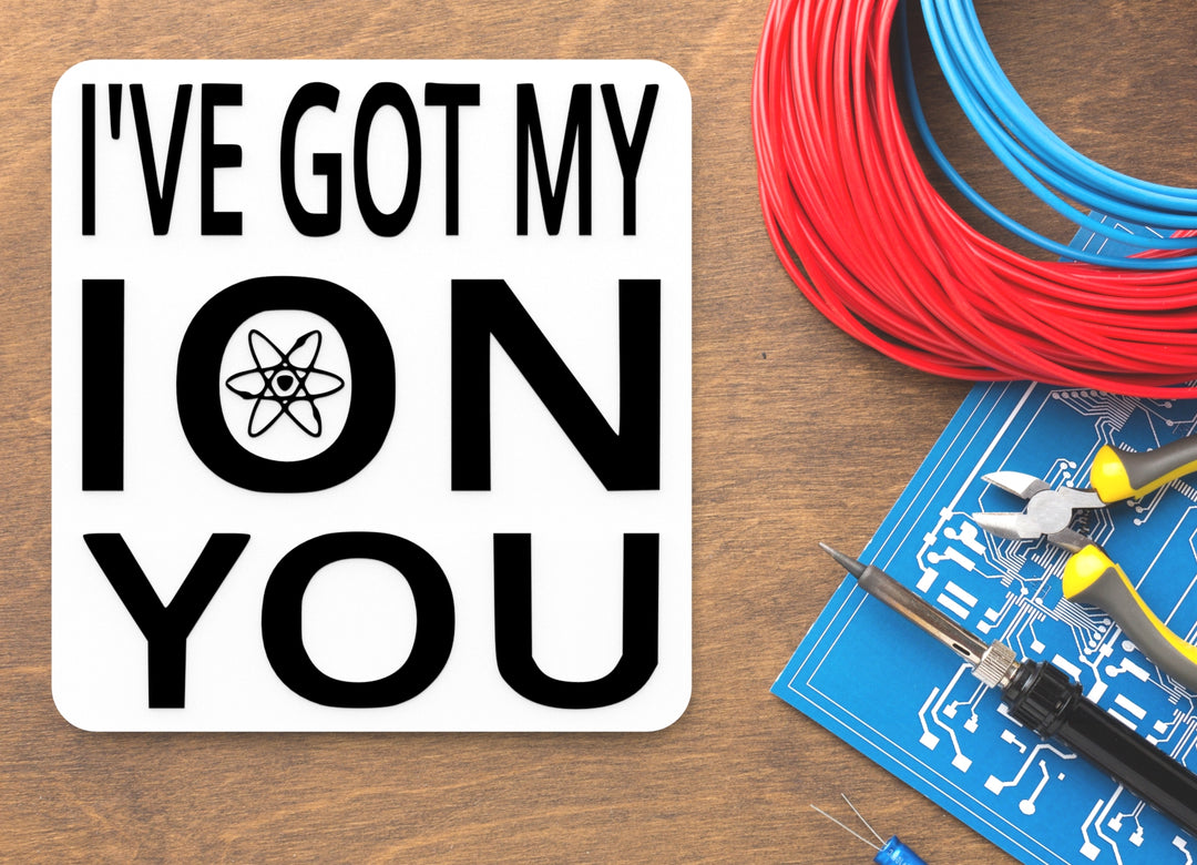 I've Got my ION You | Funny sign For Home or Office