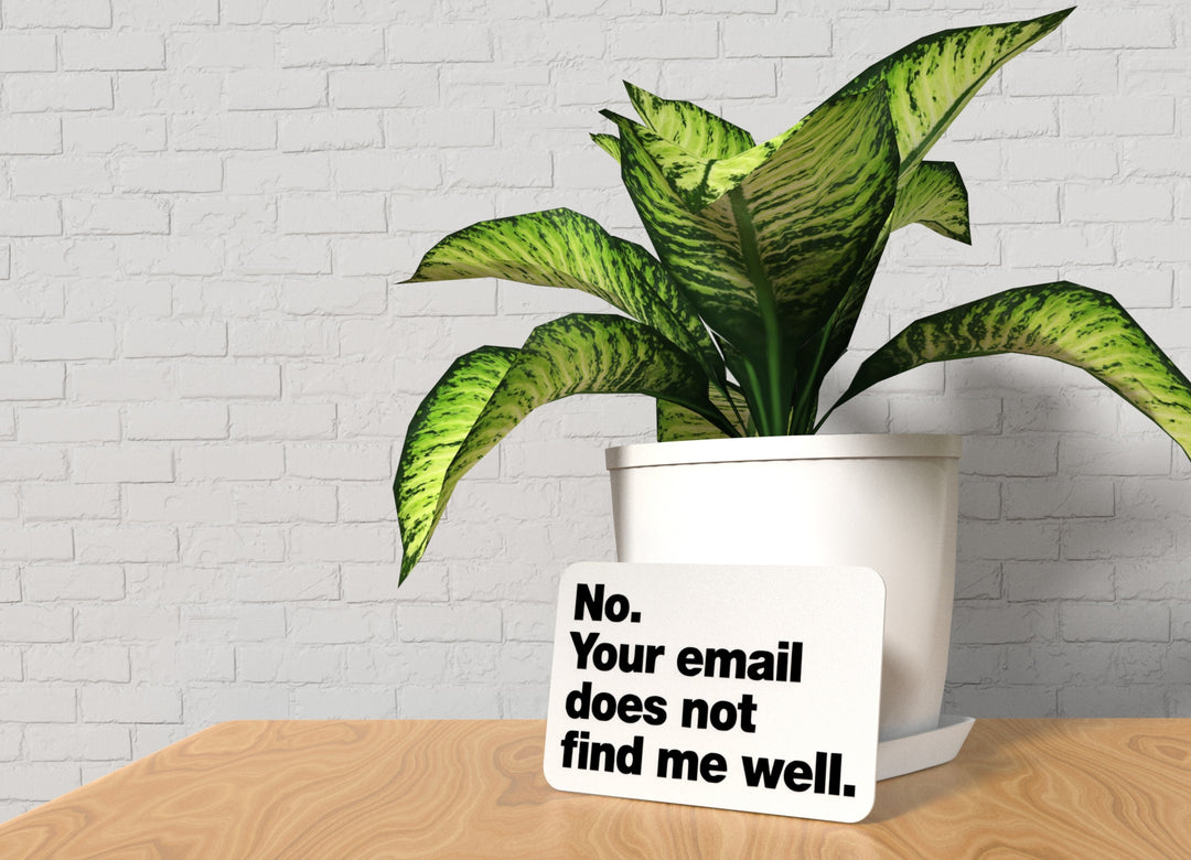 No Your Email Does Not Find Me Well | Funny Sign for Home or Office