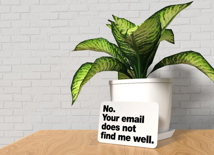 No Your Email Does Not Find Me Well | Funny Sign for Home or Office
