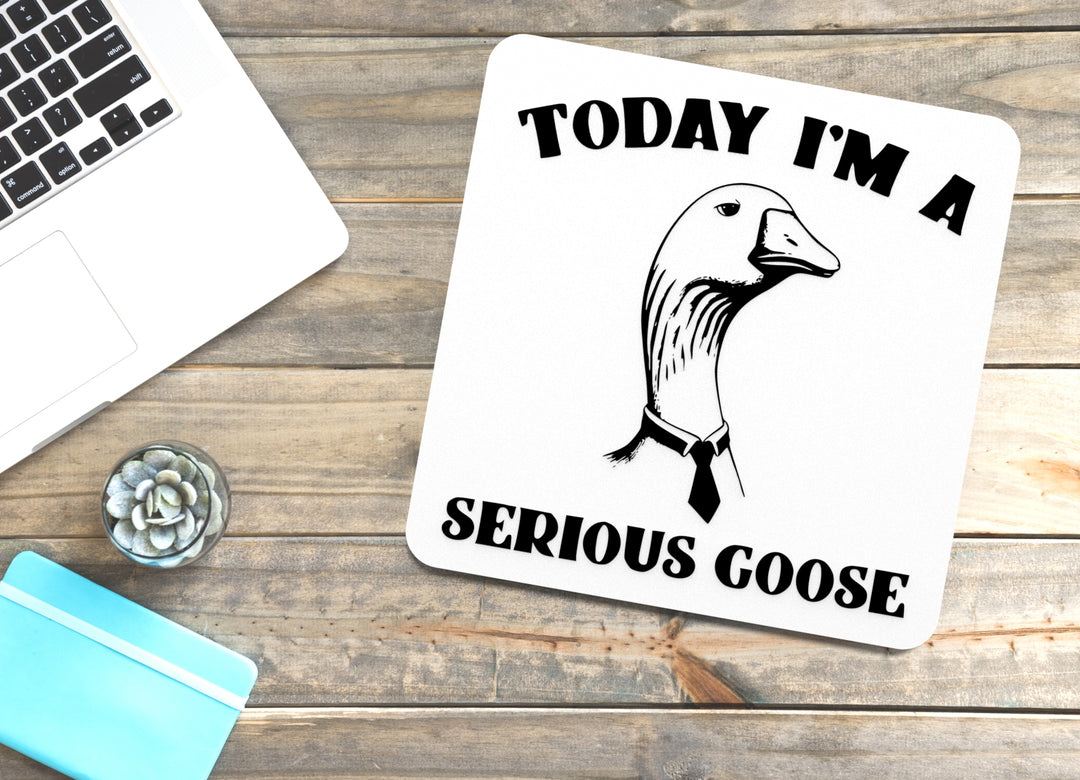 Today I Am a Serious Goose | Funny Sign for Home or Classroom Decor