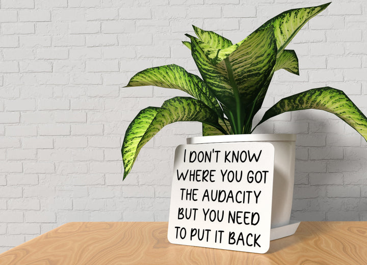I Don't Know Where You Got The Audacity | Funny Sign for Home or Office