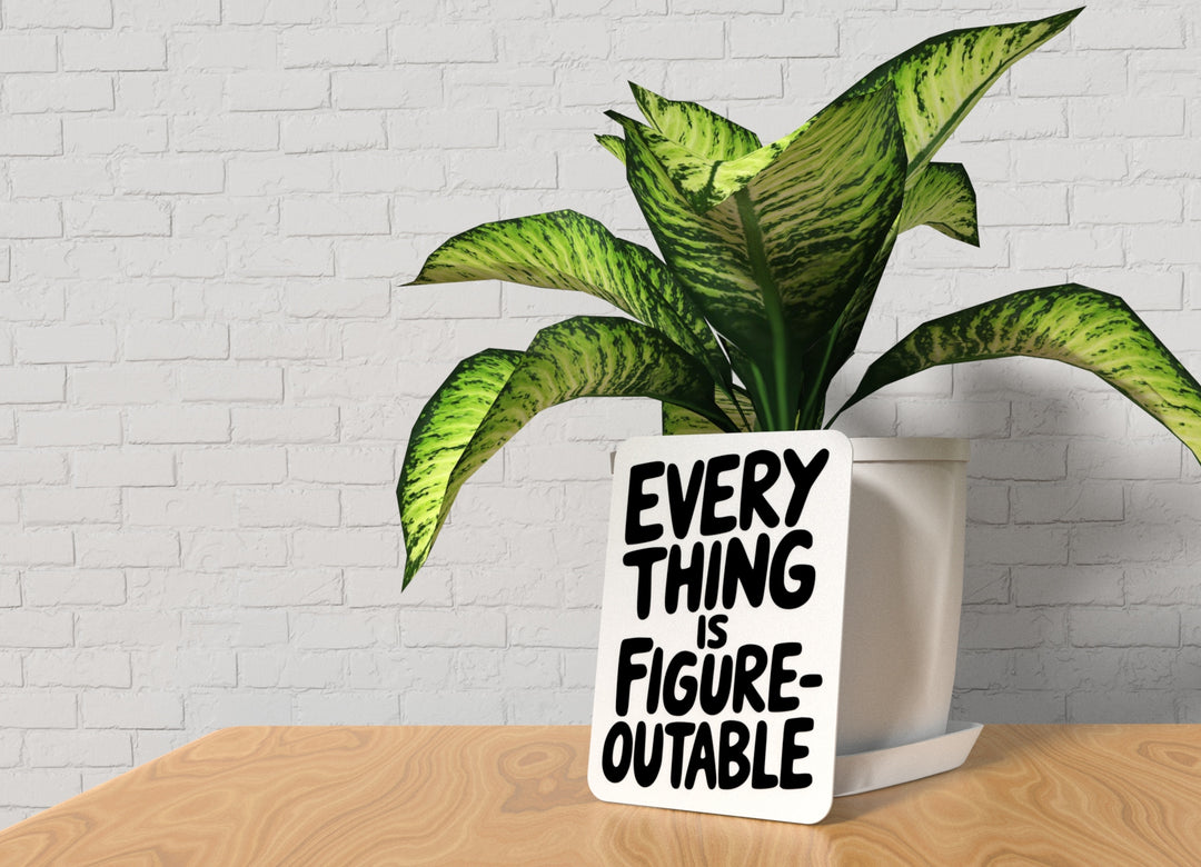 Everything Is Figure Outable | Funny sign For Home or Office