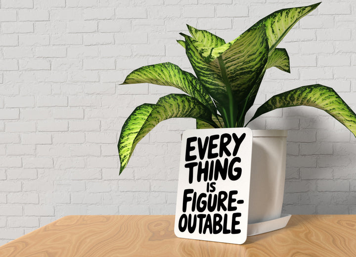 Everything Is Figure Outable | Funny sign For Home or Office