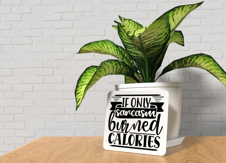 If Only Sarcasm Burned Calories | Funny sign For Home or Office