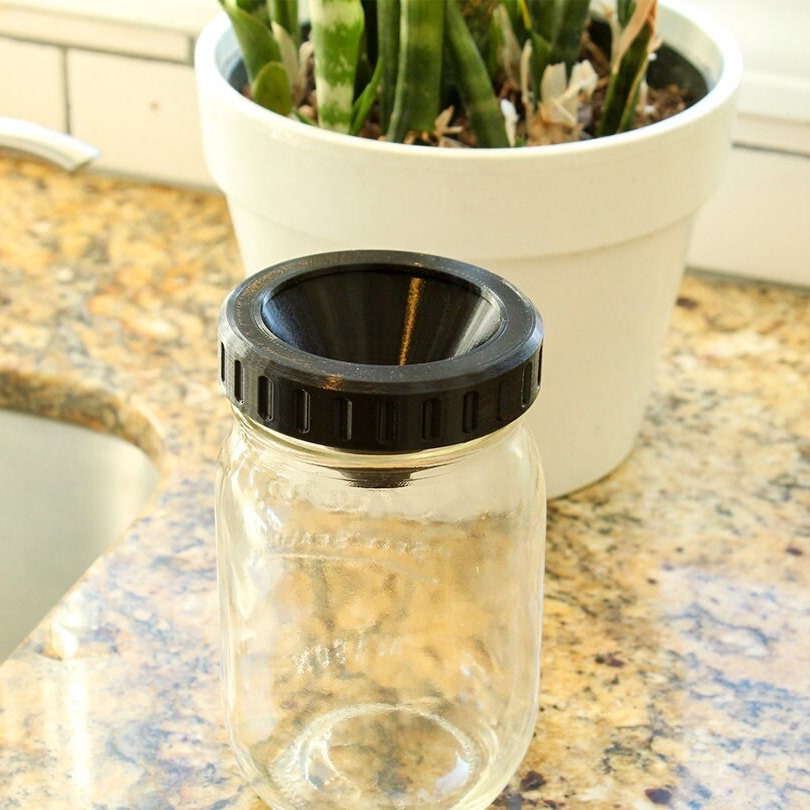 Fruit Fly Trap Lid for any Standard Mason Jar