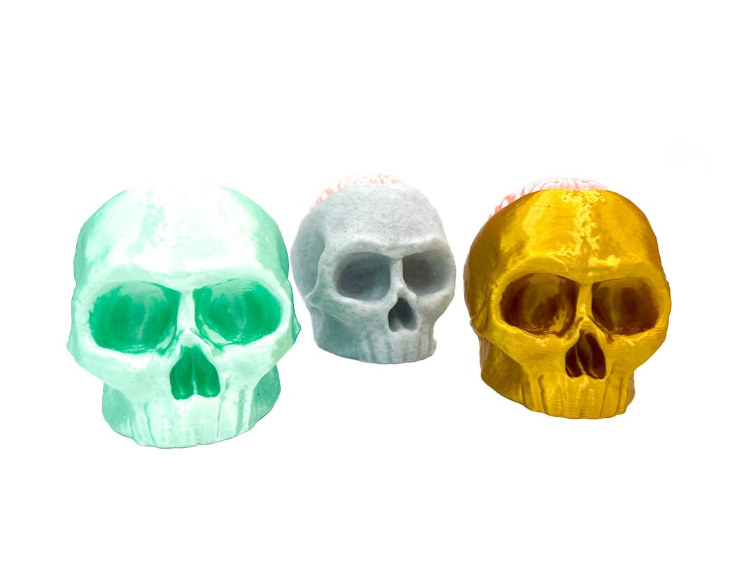 Skull with Removable Brain Lid Statue for Hiding Keys/candies