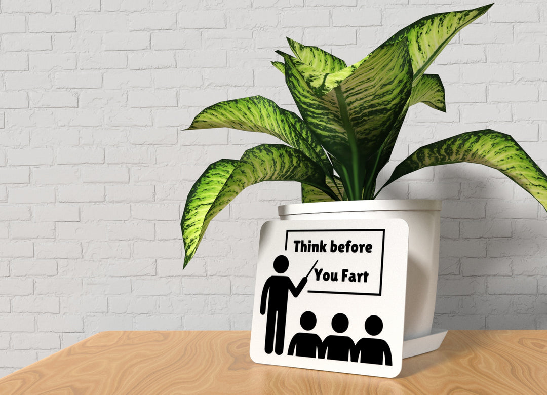 Think Before You Fart | Funny for Home, Office, or Guest Restroom