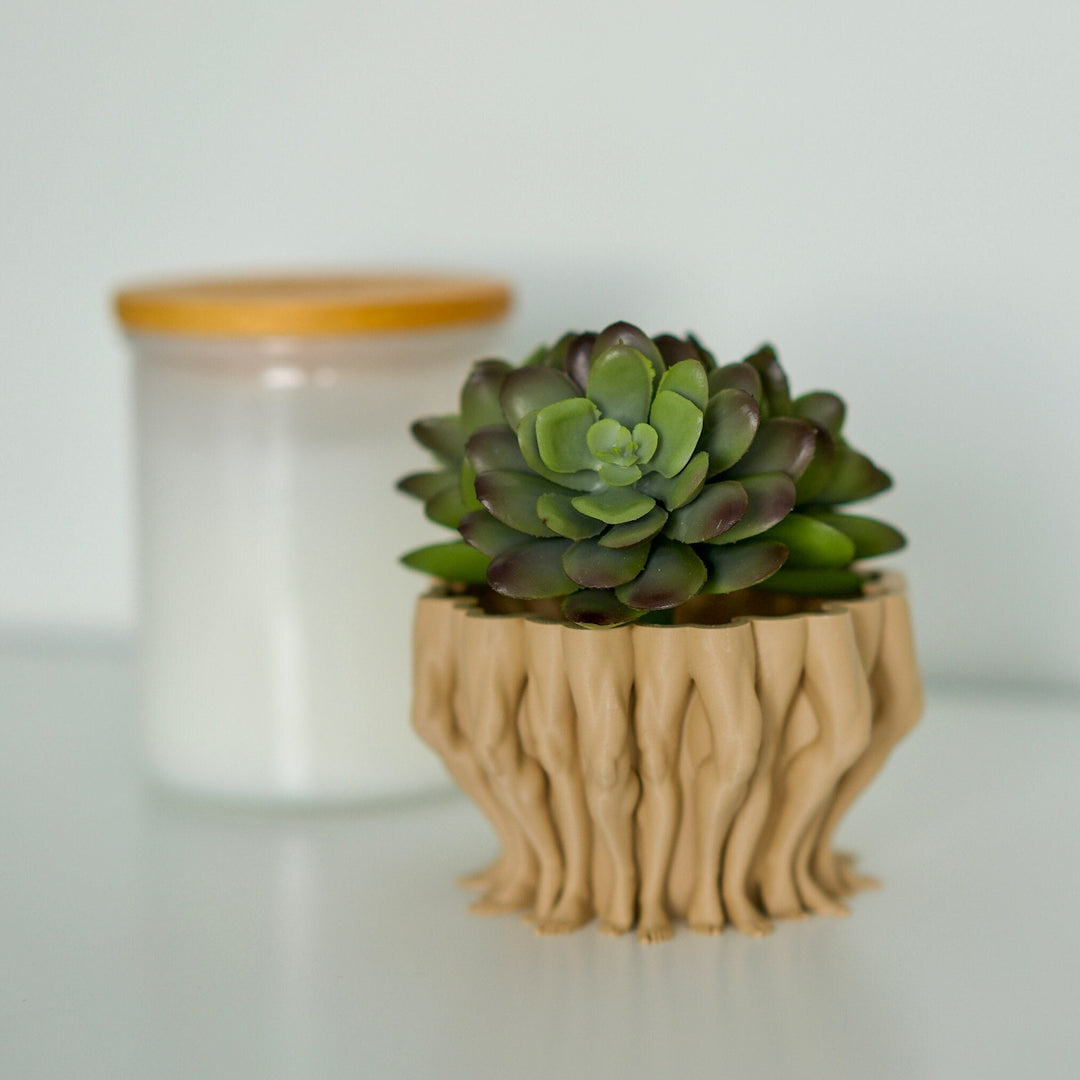 Legs Succulent and Cactus Planter Pot