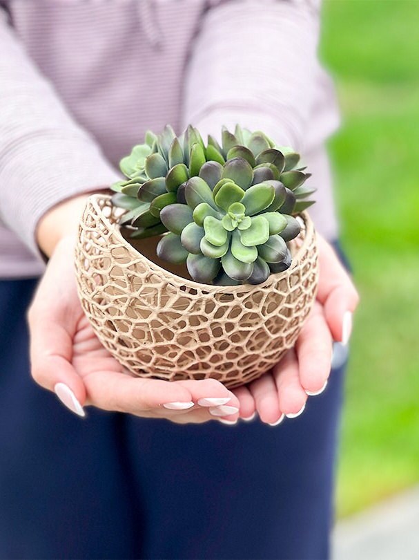 
  
  Voronoi Artistic Succulent Planter Vase
  
