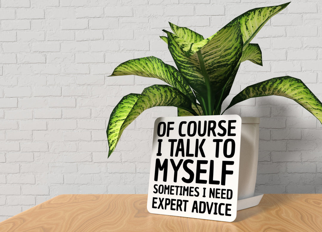 Of Course I Talk To Myself I Need Expert Advice | Funny sign For Home or Office