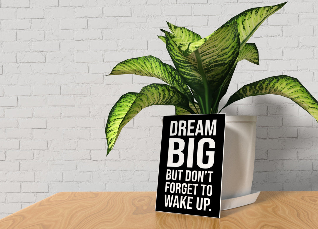 Dream Big But Don't Forget To Wake Up | Funny Sign for Home or Office
