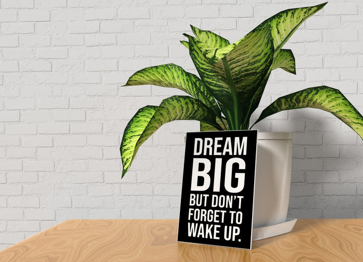 Dream Big But Don't Forget To Wake Up | Funny Sign for Home or Office