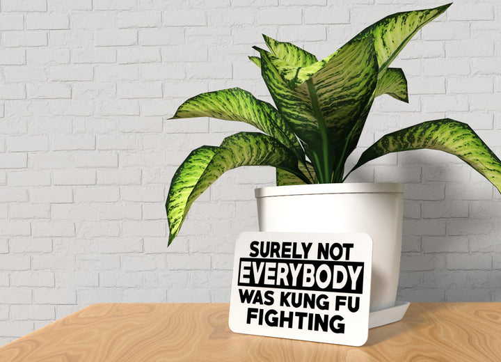 Surely Not Everybody Was Kung Fu Fighting | Funny sign For Home or Office