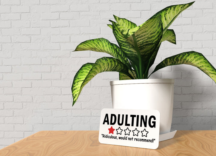 Adulting Ridiculous Would Not Recommend | Funny sign For Home or Office