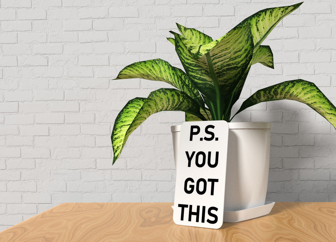 P.S You Got This | Funny Sign for Home or Office